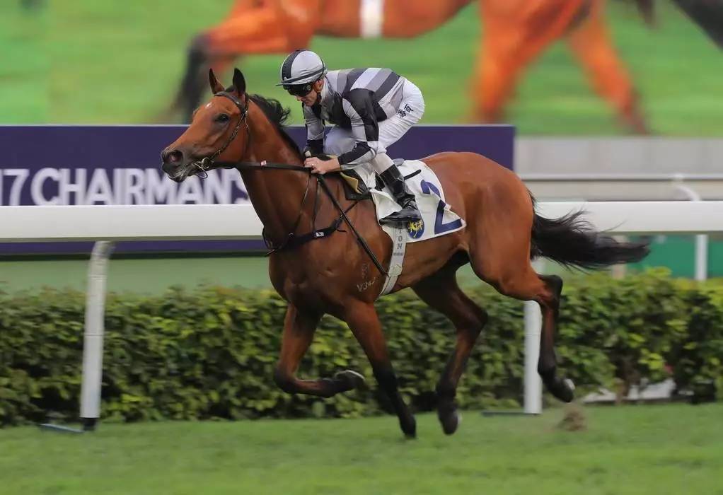 包含江苏队再捷获胜，一路风雨兼程无恙前行的词条